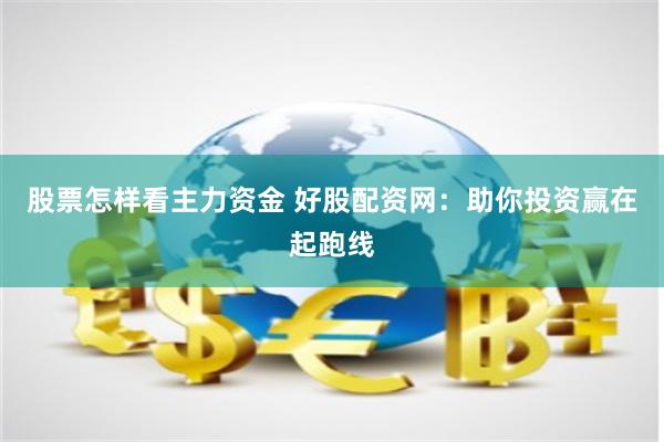 股票怎样看主力资金 好股配资网：助你投资赢在起跑线