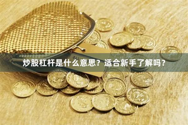 炒股杠杆是什么意思?适合新手了解吗?