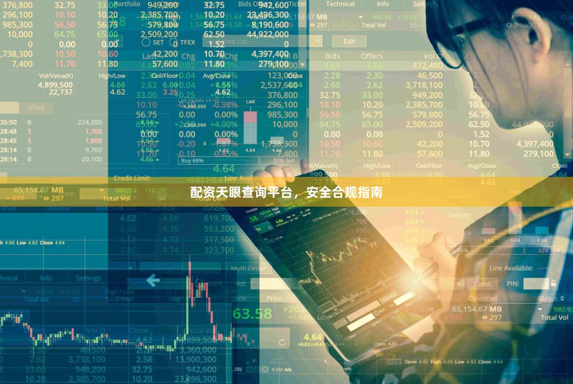 配资天眼查询平台，安全合规指南