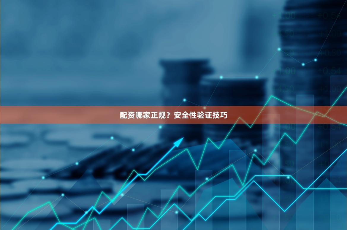 配资哪家正规？安全性验证技巧