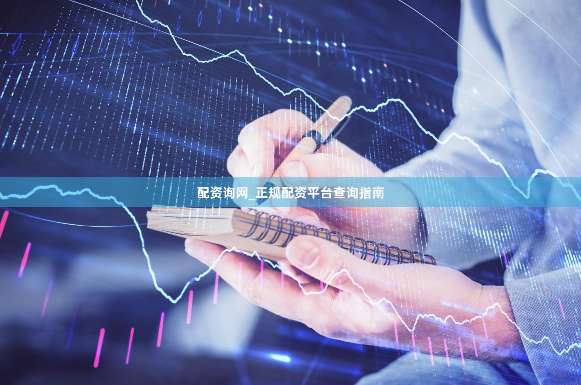 配资询网_正规配资平台查询指南