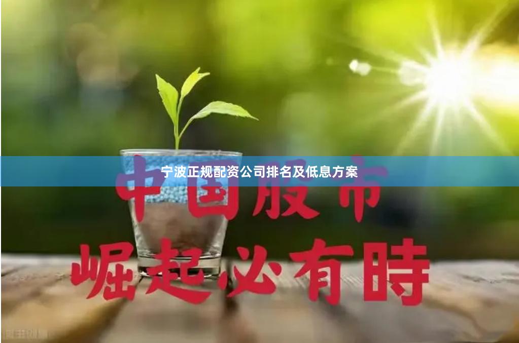 宁波正规配资公司排名及低息方案